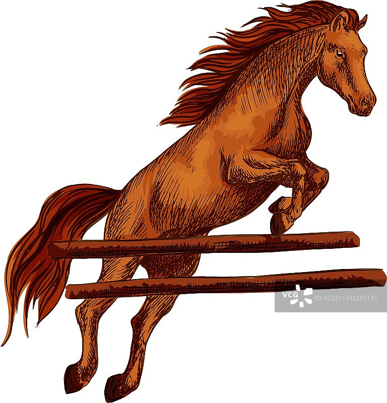 马跳跃，赛马运动的象征图片素材