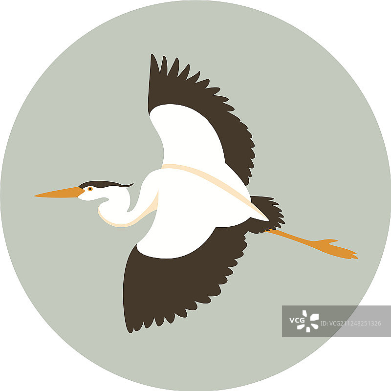 扁平风格飞翔的苍鹭图片素材