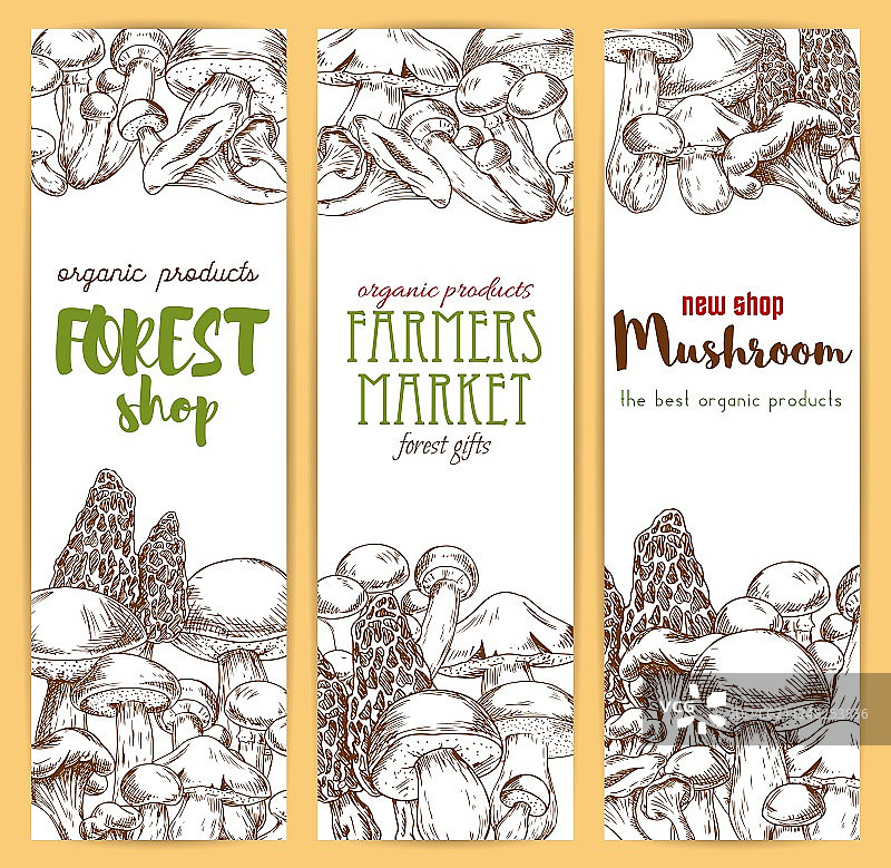 蘑菇素描banner合集图片素材