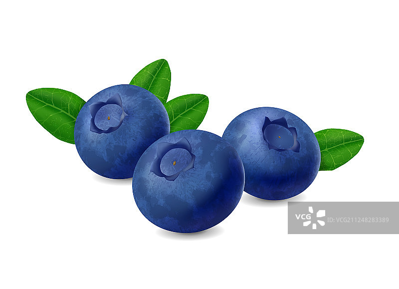 白色背景上的逼真蓝莓图片素材