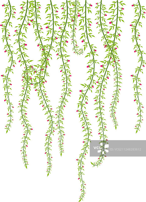 树枝与鸟类剪影图片素材