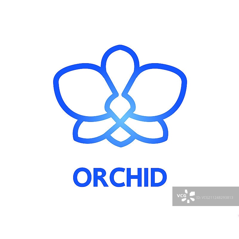 兰花设计图片素材