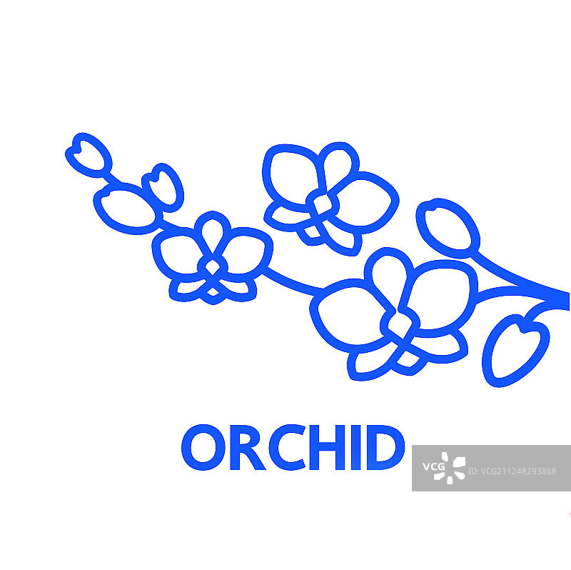 兰花设计图片素材