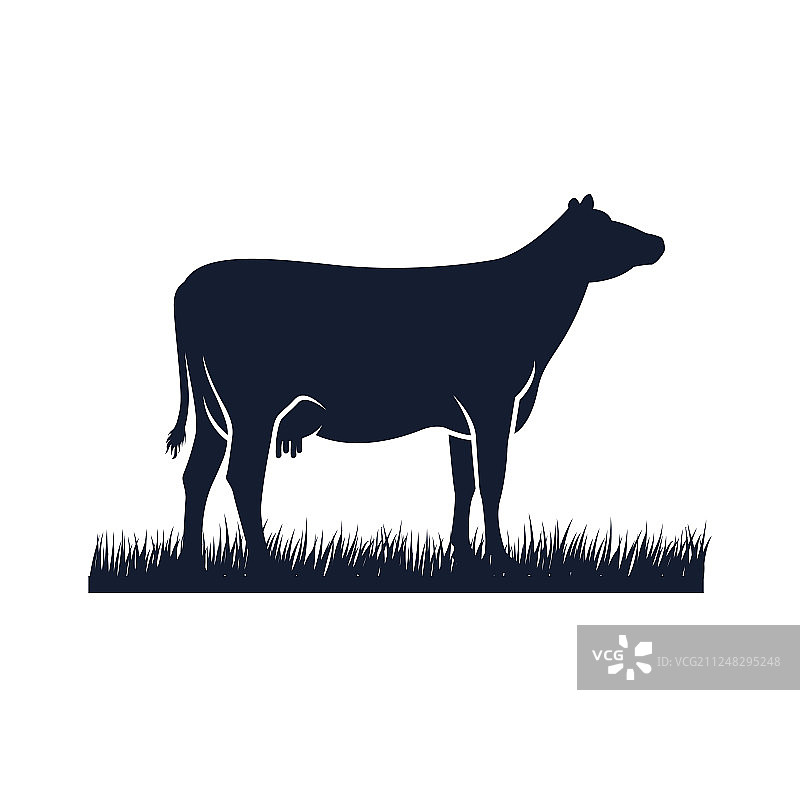 黑色安格斯奶牛轮廓图标图片素材