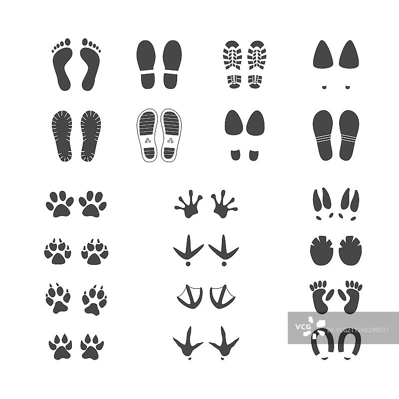 不同的脚和爪子图片素材