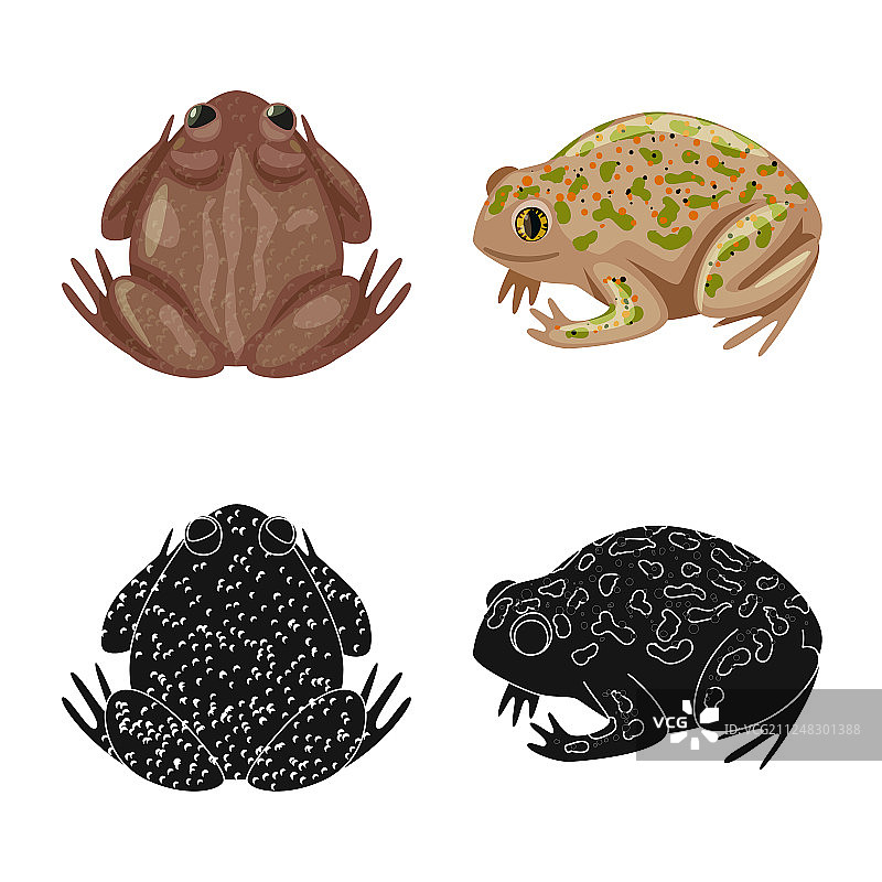 野生动植物和沼泽标志设计图片素材