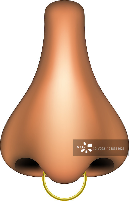 带金色穿孔的人类鼻子图片素材