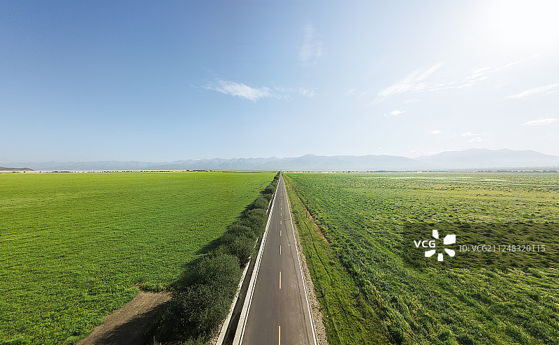 青海省门源回族自治县百里油菜花景区图片素材