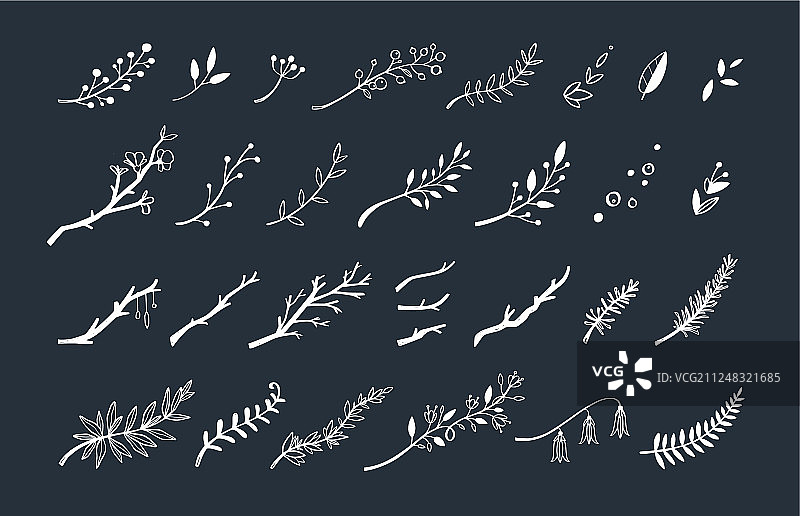 手绘复古花卉元素套装图片素材