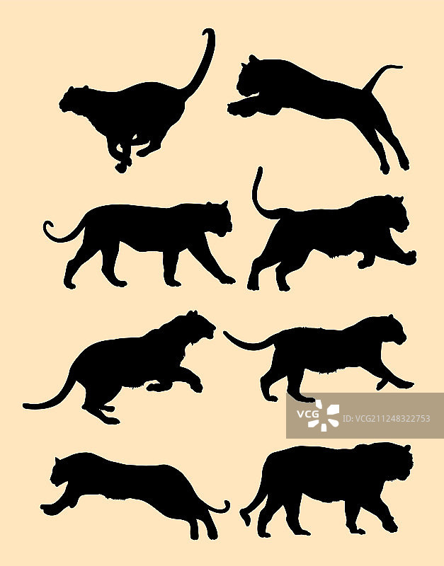 可爱的黑色老虎剪影图片素材