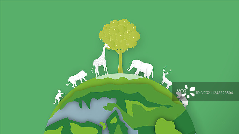 世界各地的野生动物极简主义图片素材