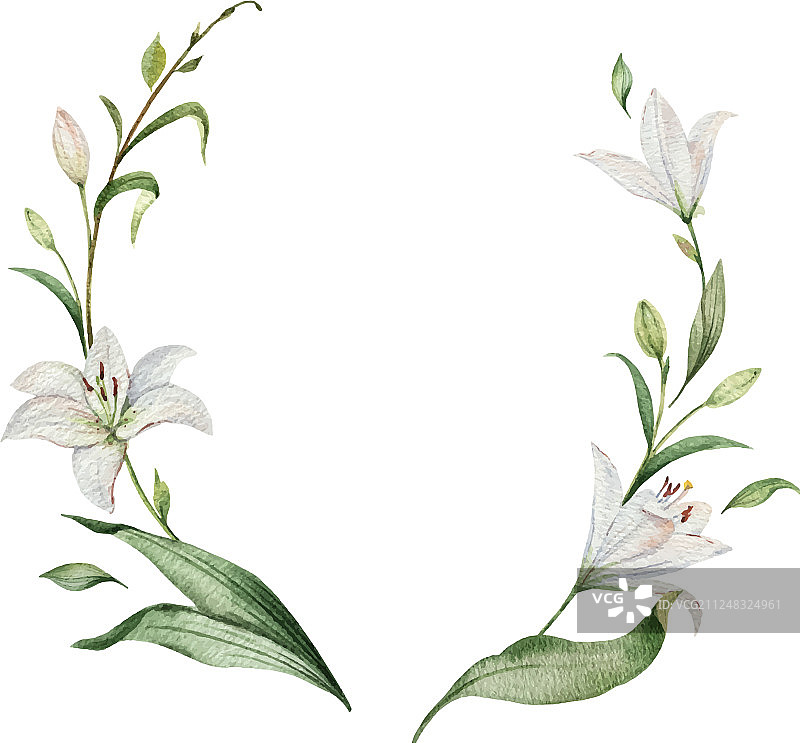 水彩百合花和绿色花环图片素材