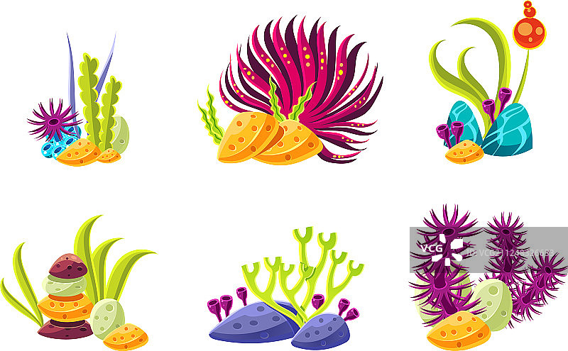 各种海藻珊瑚组合合集图片素材