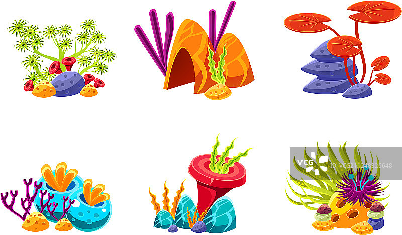 扁平风格海洋藻类组合合集图片素材