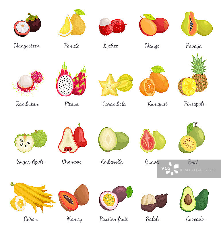 山竹、木瓜、牛油果组合图片素材