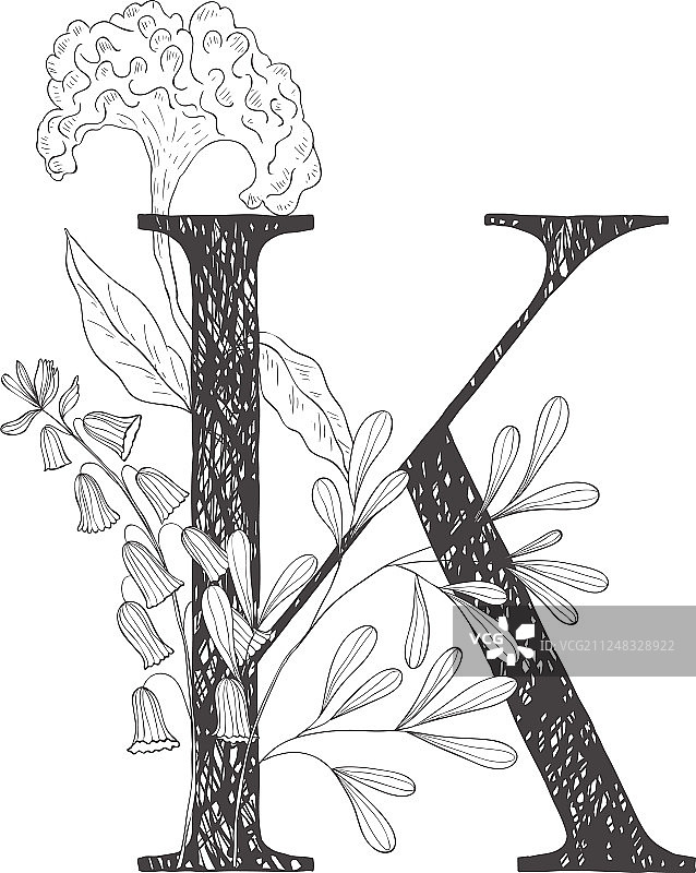 植物花卉字母表图片素材