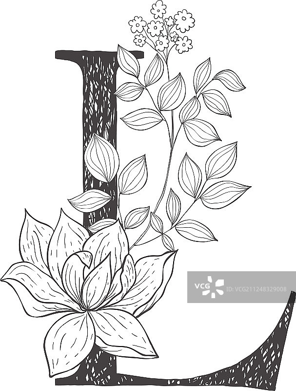 植物花卉字母表图片素材