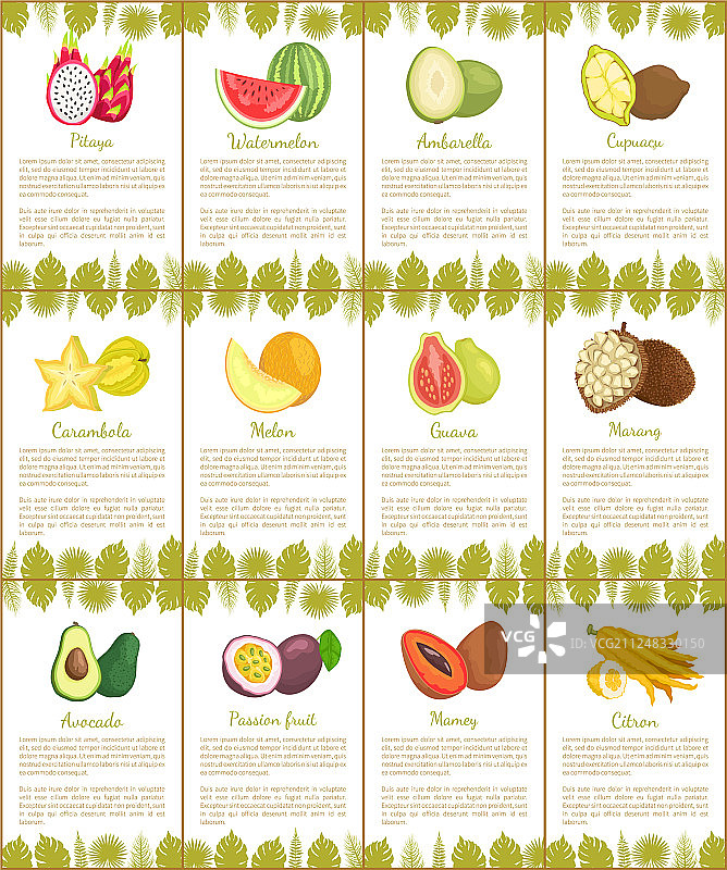 火龙果、西瓜和香橼海报图片素材