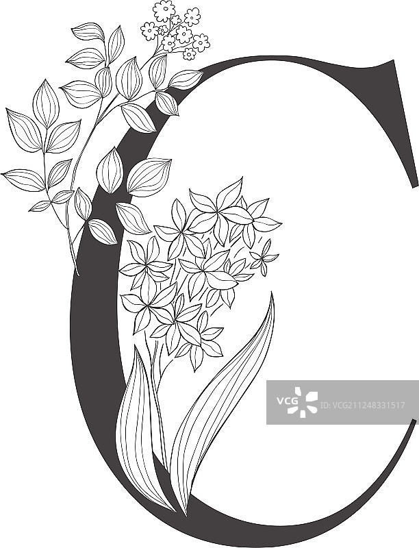 植物花卉字母表图片素材