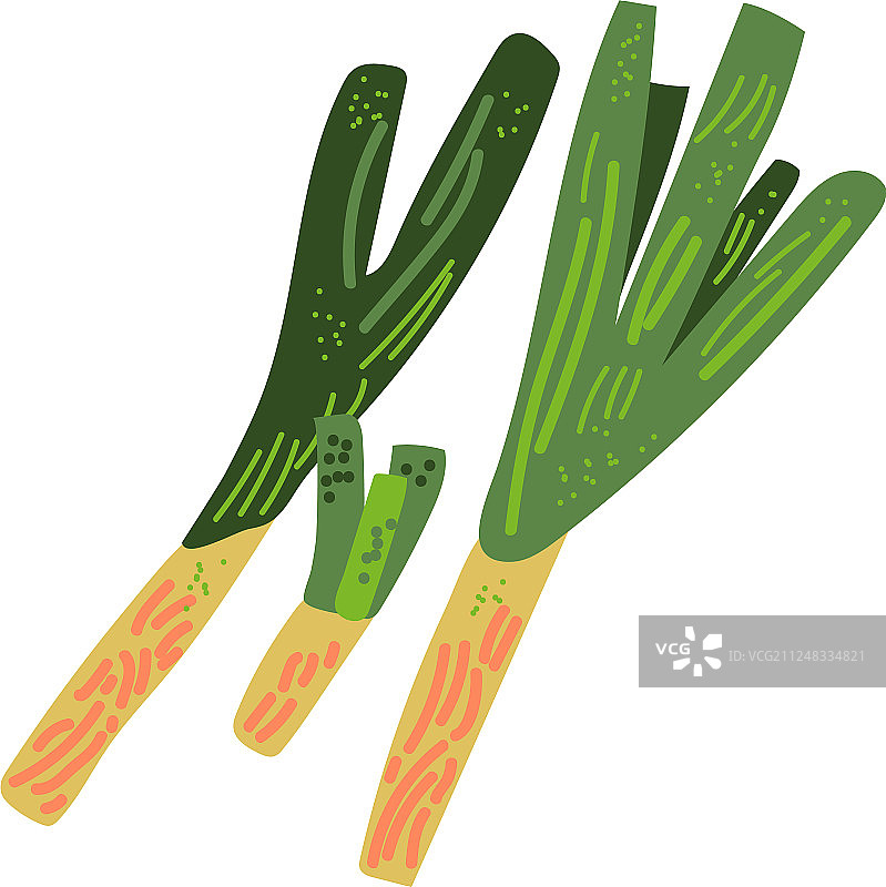 新鲜绿色洋葱蔬菜天然健康食品图片素材