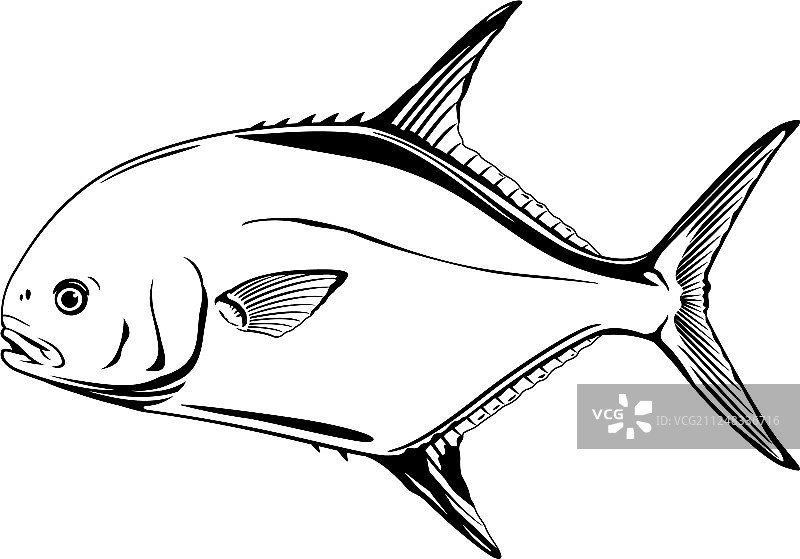 捕鱼许可图片素材