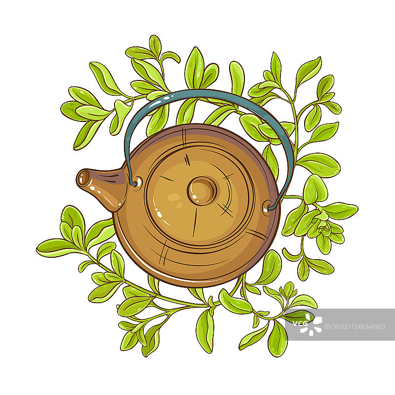 马郁兰茶图片素材