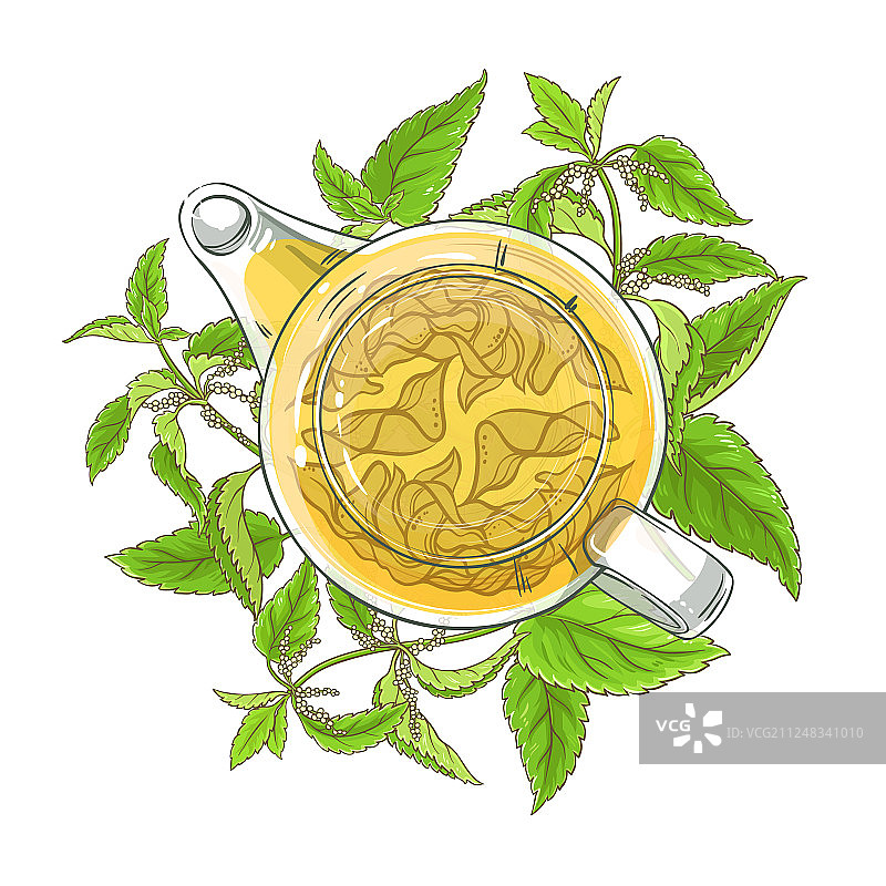 荨麻茶图片素材