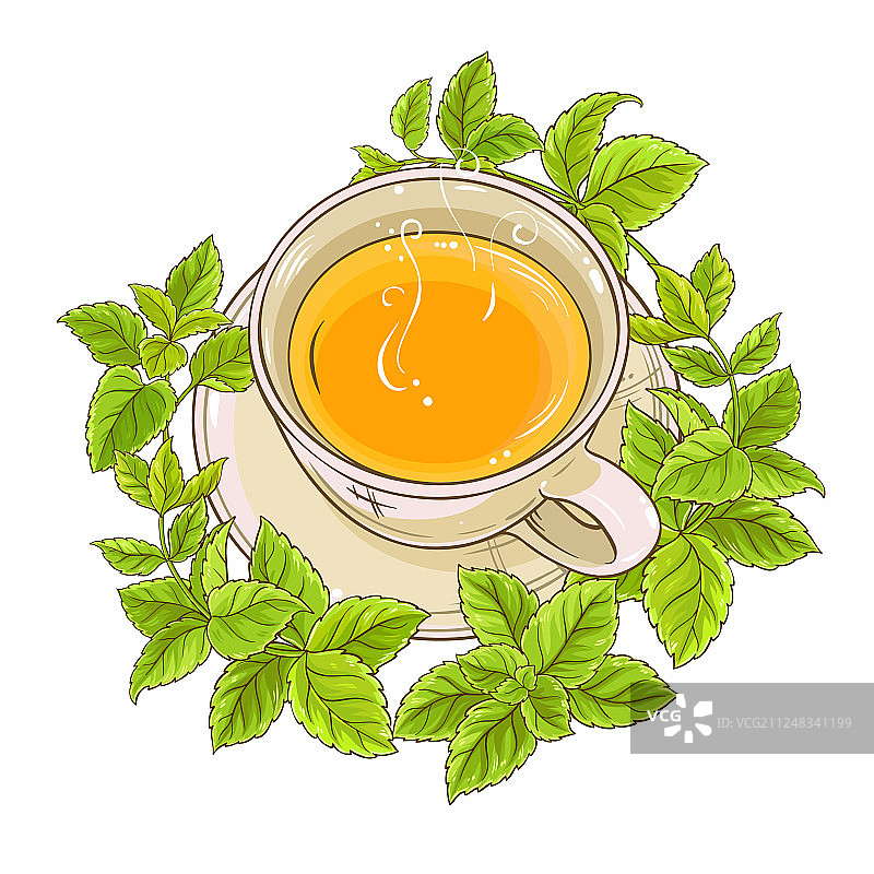 蜜蜂花茶图片素材