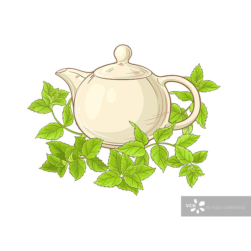 薄荷茶图片素材