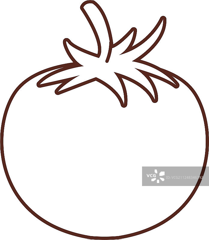 新鲜番茄蔬菜图片素材