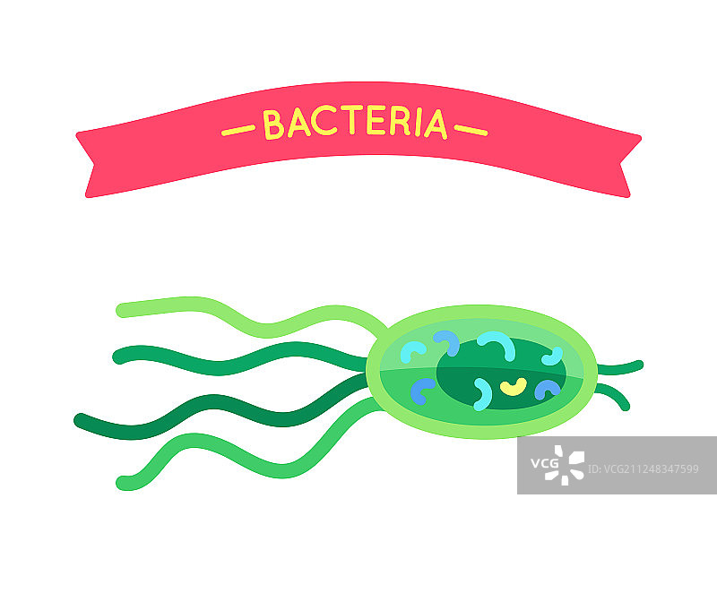 生物学内容的卡通微生物放大图图片素材