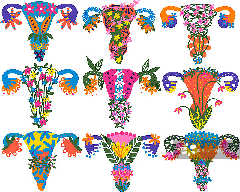 彩色女性生殖系统图片素材