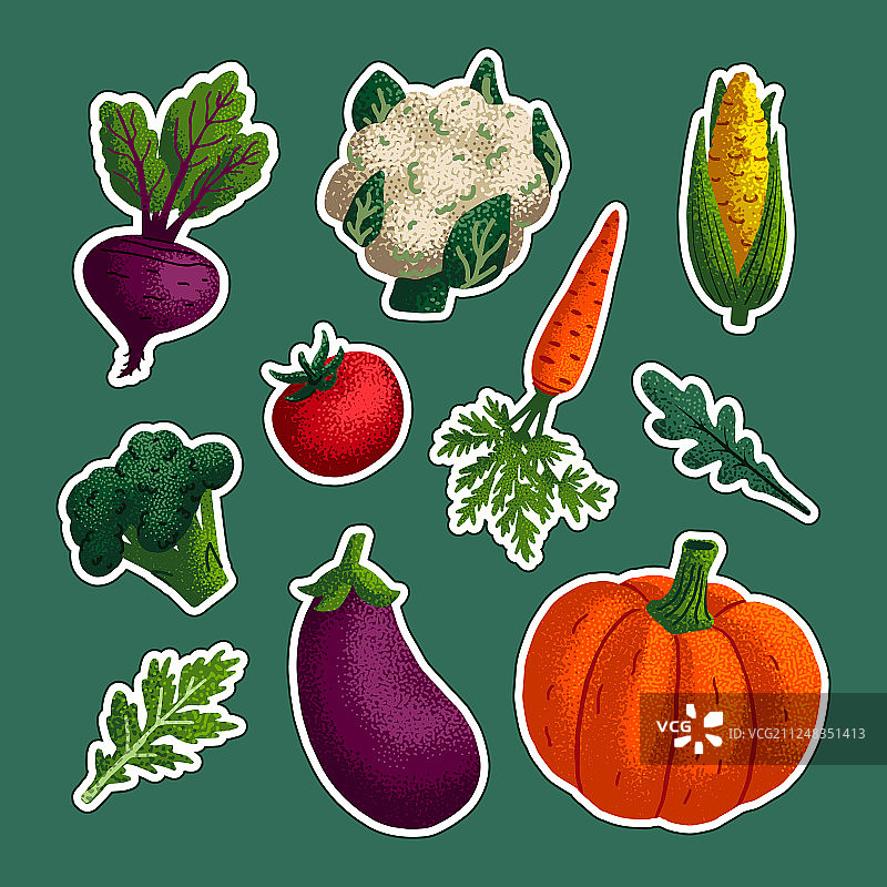 蔬菜贴纸装饰套装图片素材