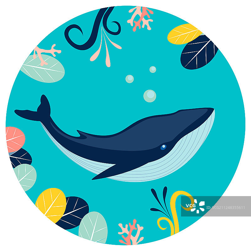 扁平风格圆形水下蓝鲸背景图片素材