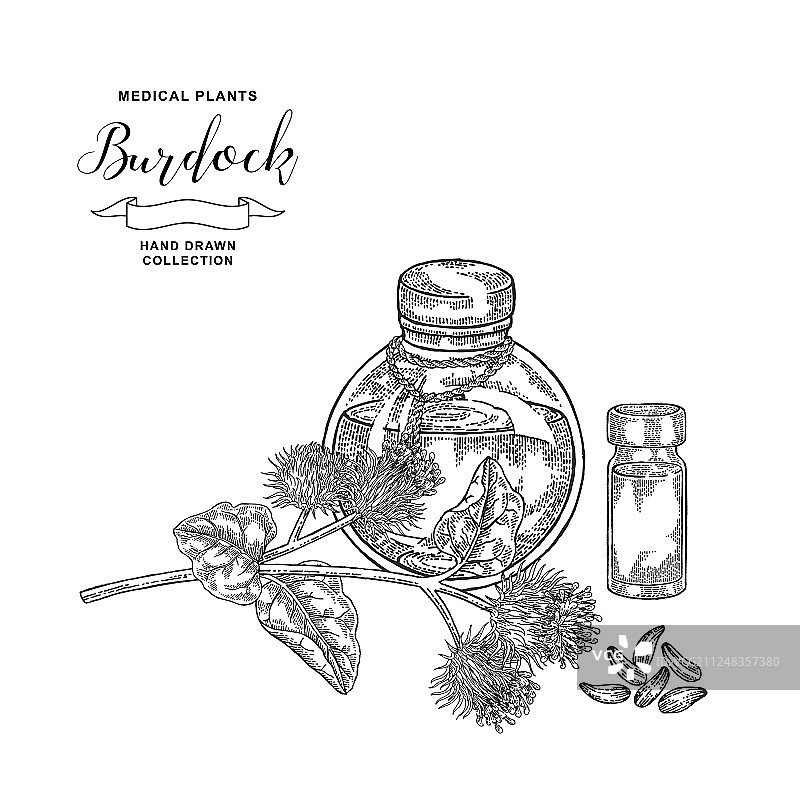 牛蒡枝与玻璃瓶药用油图片素材