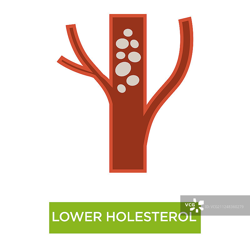 降低胆固醇健康动脉正常血液图片素材