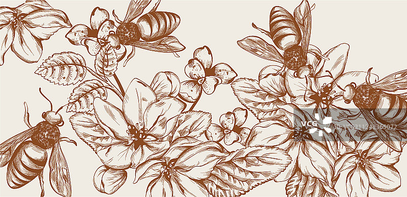 蜜蜂和鲜花线条艺术卡片图片素材