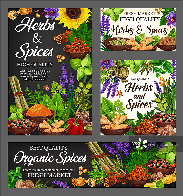 有机香料烹饪草本农场调味料图片素材