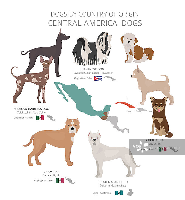 原产于中美洲的犬类图片素材