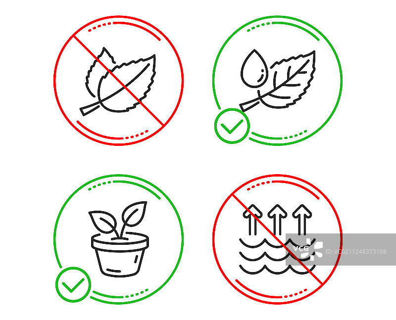 薄荷叶和露珠图标集图片素材