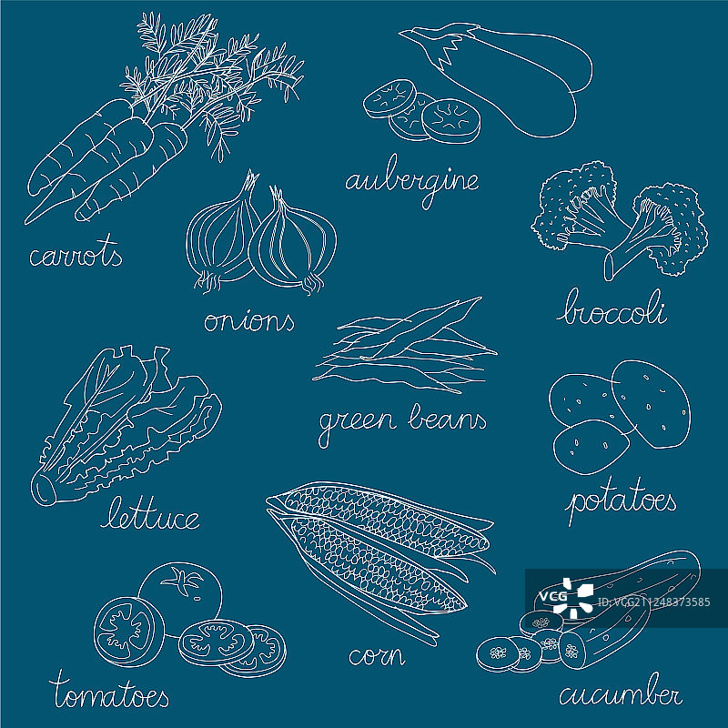 一组孤立的手绘蔬菜图片素材