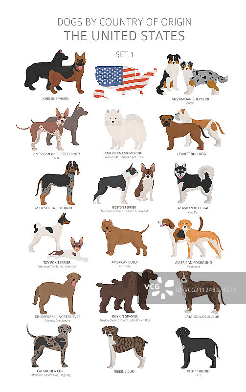 狗狗的起源图片素材