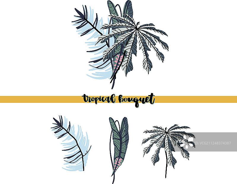 热带棕榈叶花束图片素材