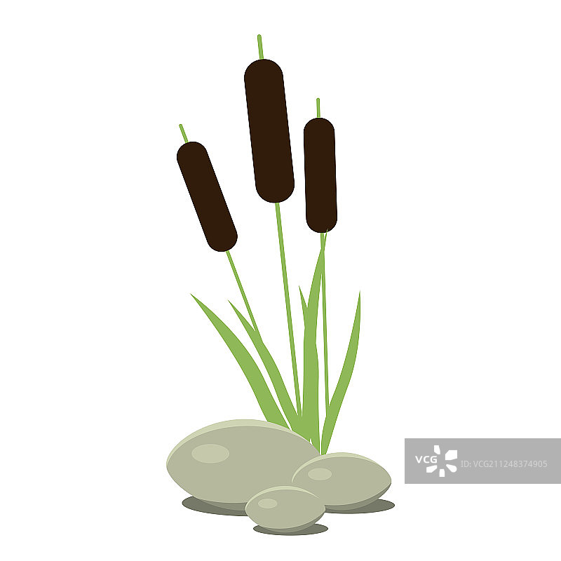 芦苇莎草扁平花卉设计元素图片素材