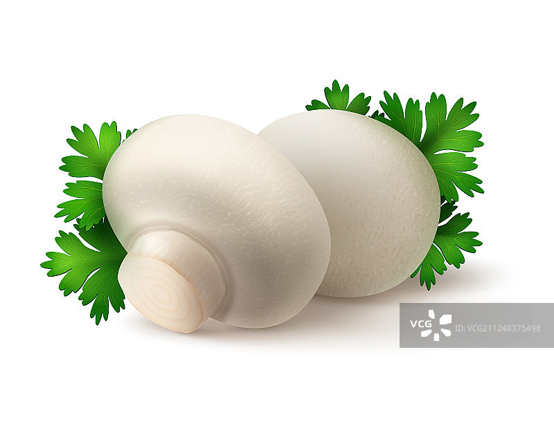 成堆的蘑菇与欧芹叶图片素材