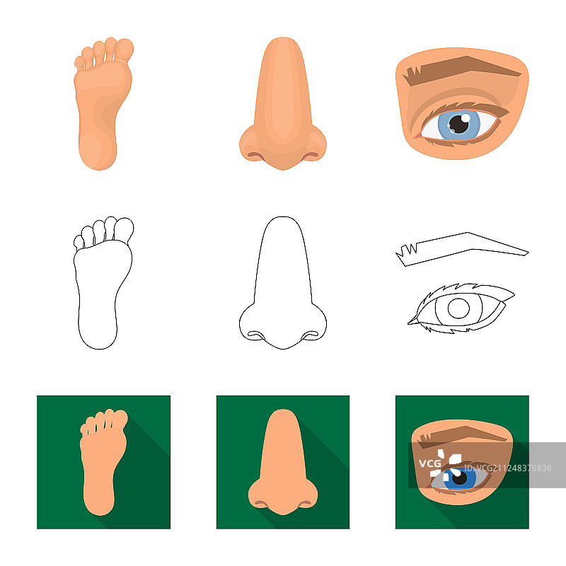 身体部位标志合集图片素材