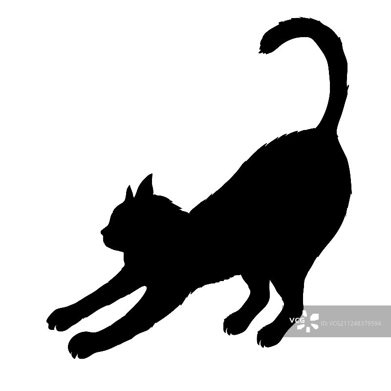 白色背景上孤立的黑猫轮廓图片素材