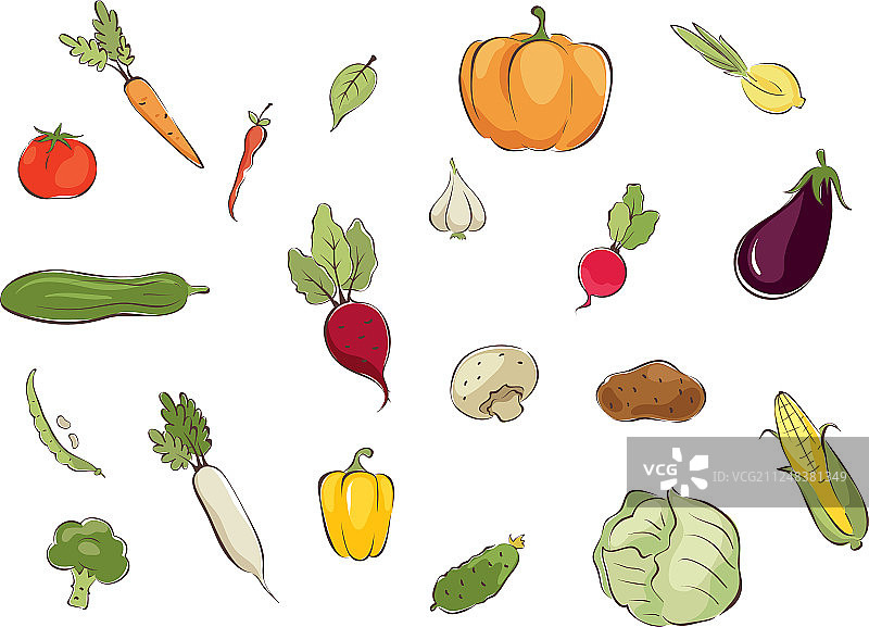 蔬菜图片合集图片素材