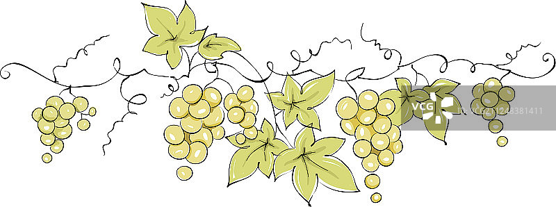 藤蔓设计元素图片素材