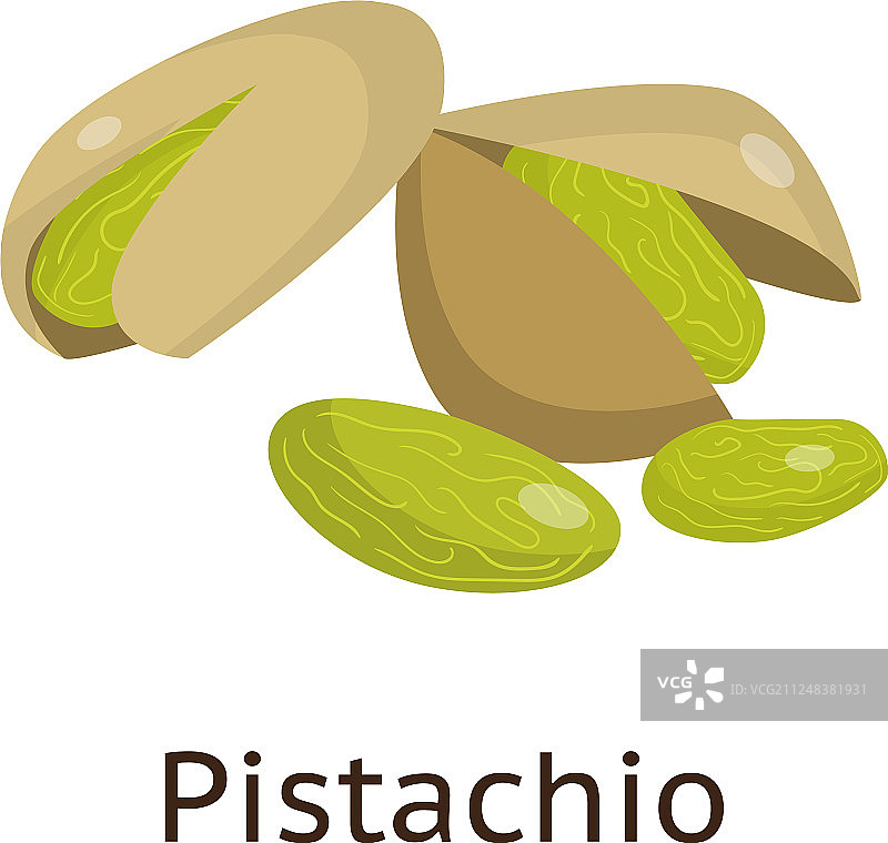 植物的果实是带硬壳的坚果图片素材